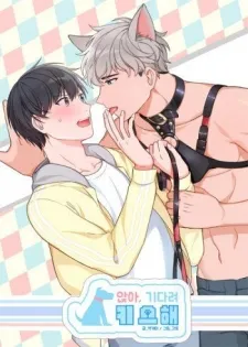 Sit, Wait, Kiss Me