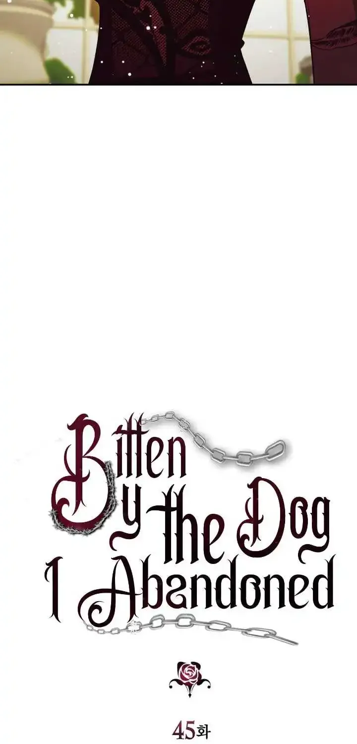 Bitten by the Dog I Abandoned Kainu Manga Chapter 45 Page 7
