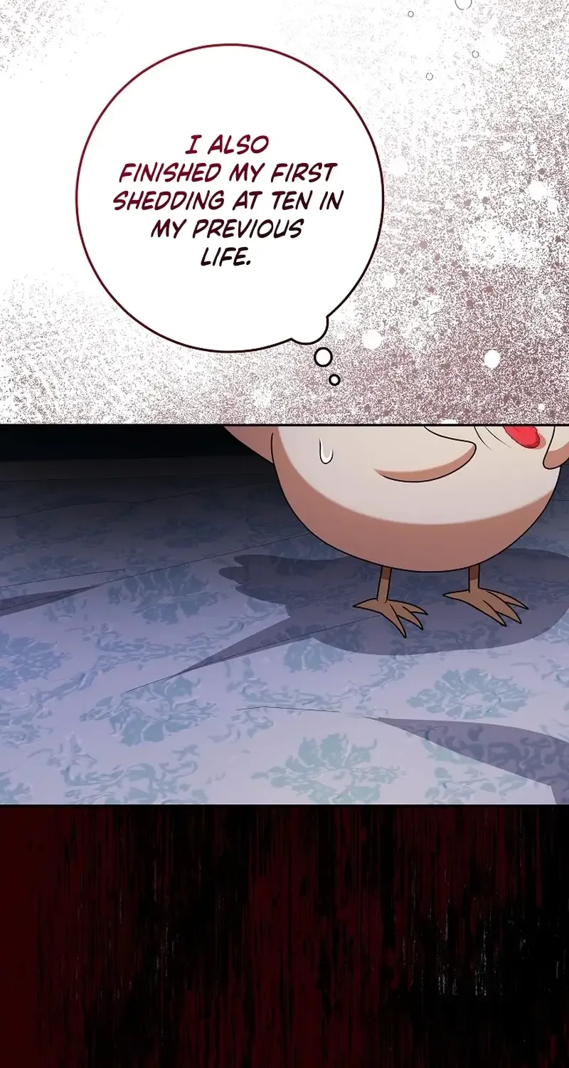 The Beloved New Daughter-in-law Of The Wolf Mansion Kainu Manga Chapter 14 Page 59