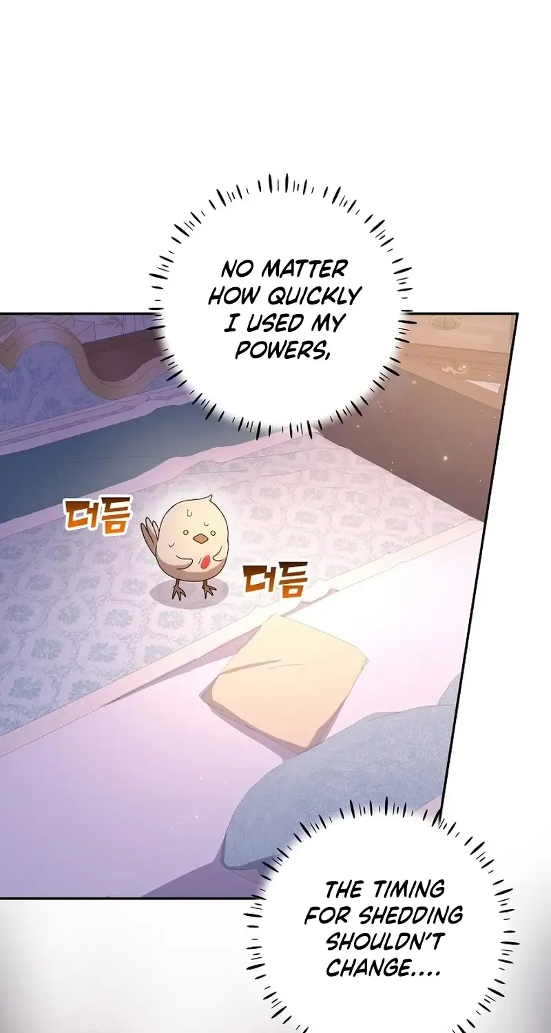 The Beloved New Daughter-in-law Of The Wolf Mansion Kainu Manga Chapter 14 Page 63