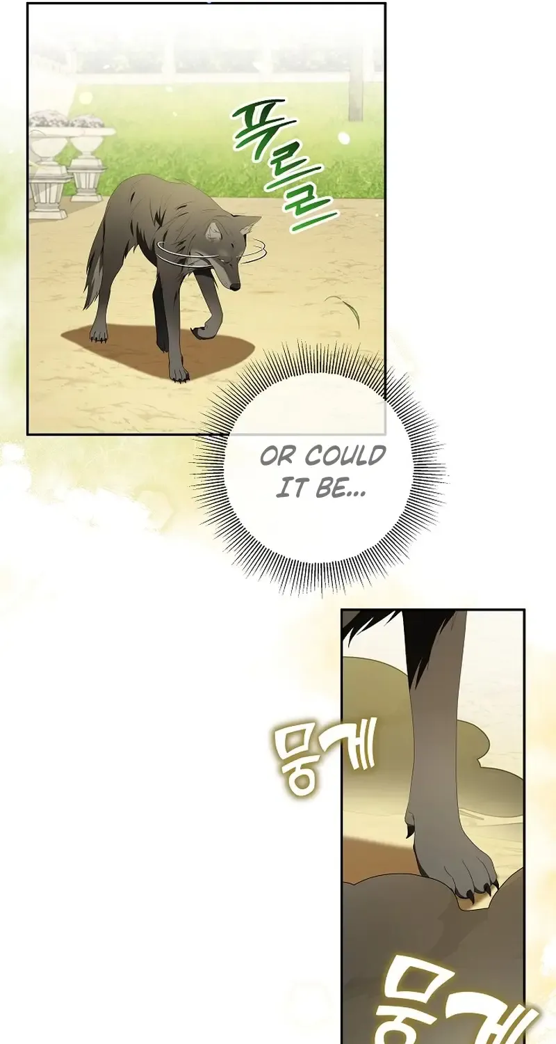 The Beloved New Daughter-in-law Of The Wolf Mansion Kainu Manga Chapter 6 Page 13