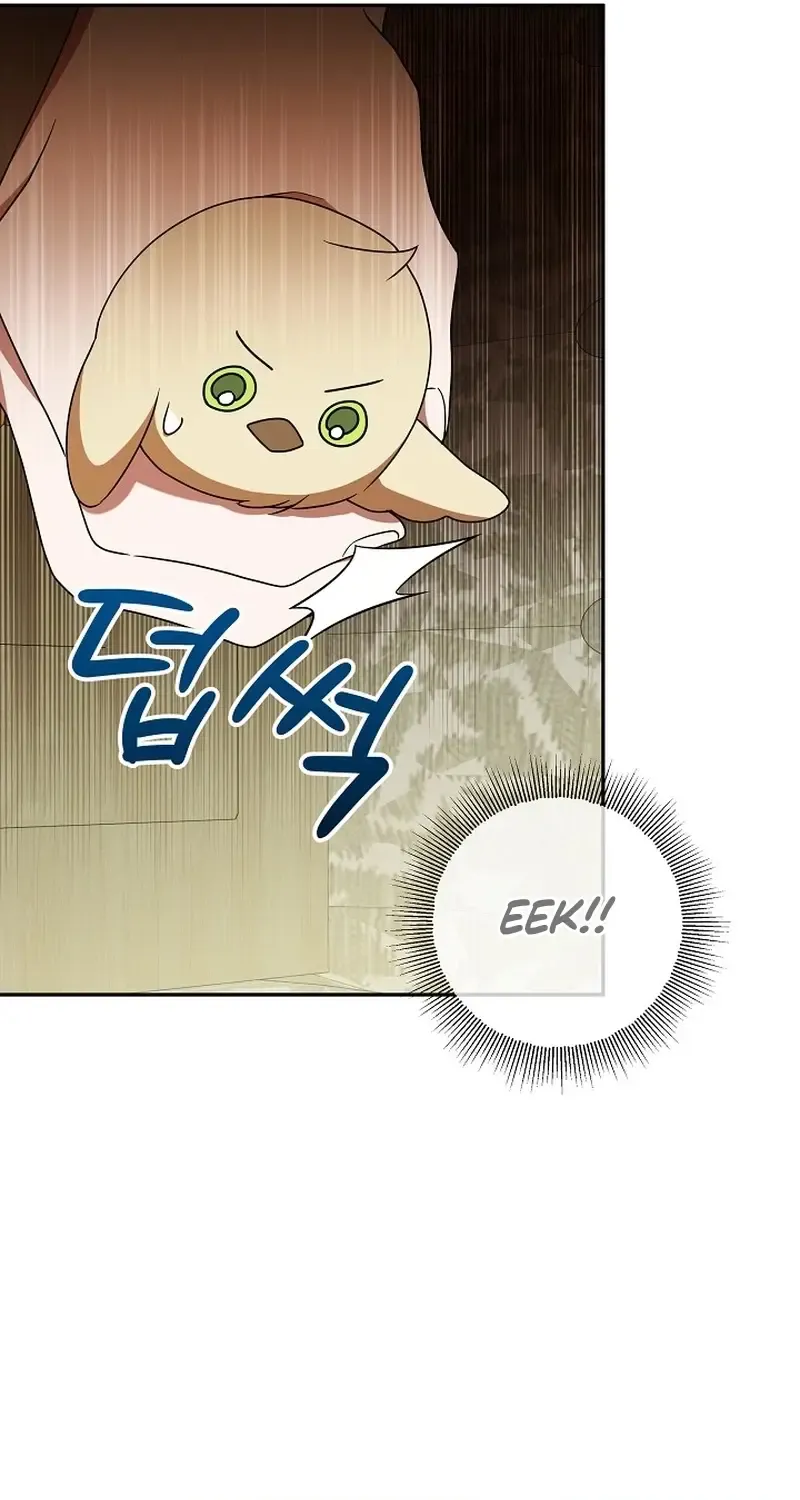 The Beloved New Daughter-in-law Of The Wolf Mansion Kainu Manga Chapter 5 Page 25