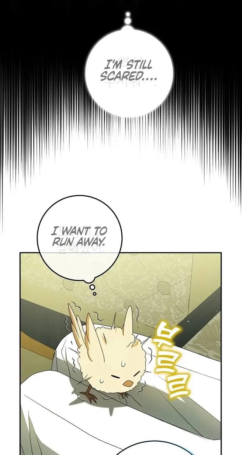 The Beloved New Daughter-in-law Of The Wolf Mansion Kainu Manga Chapter 5 Page 38