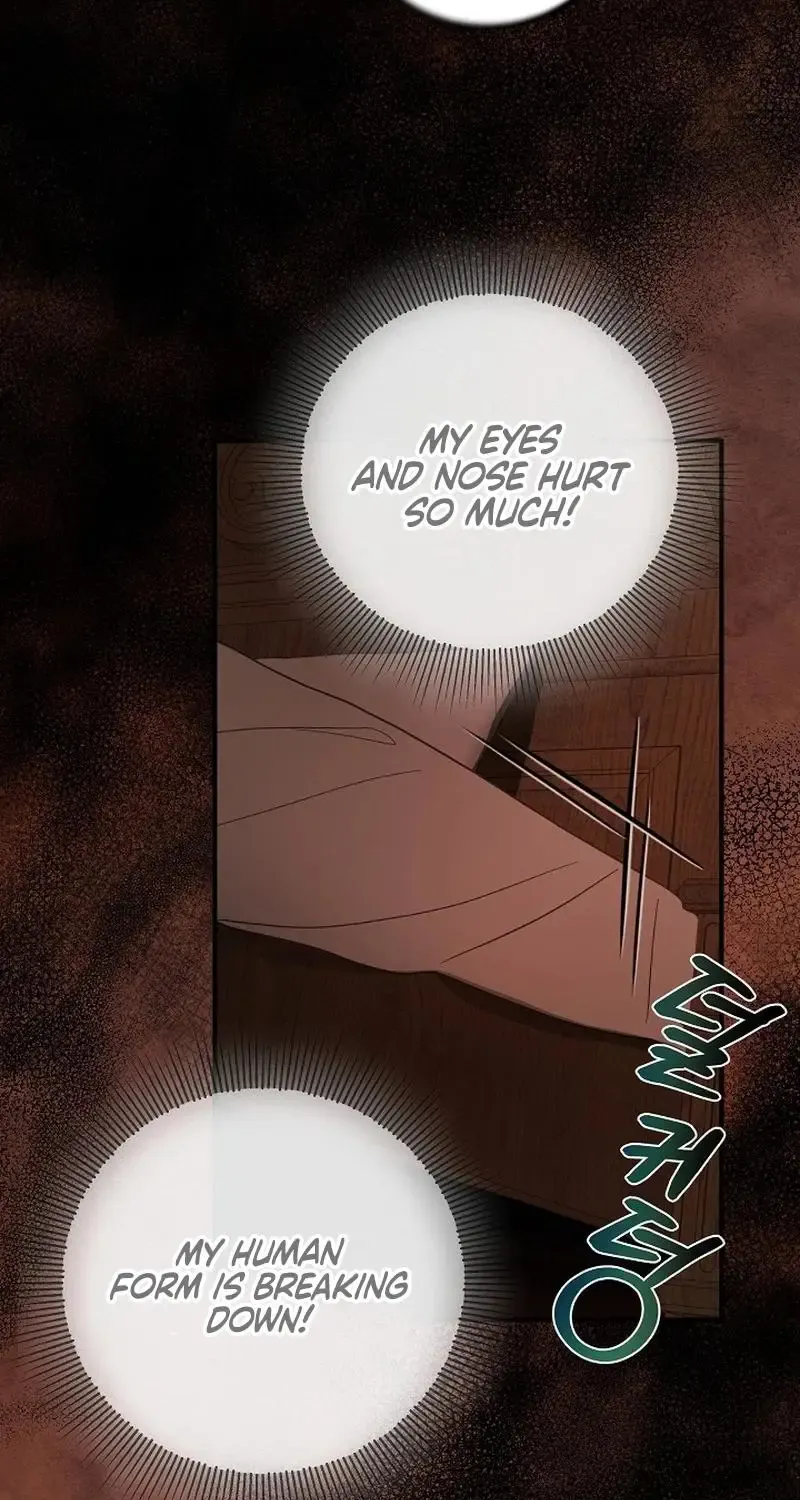 The Beloved New Daughter-in-law Of The Wolf Mansion Kainu Manga Chapter 1 Page 60