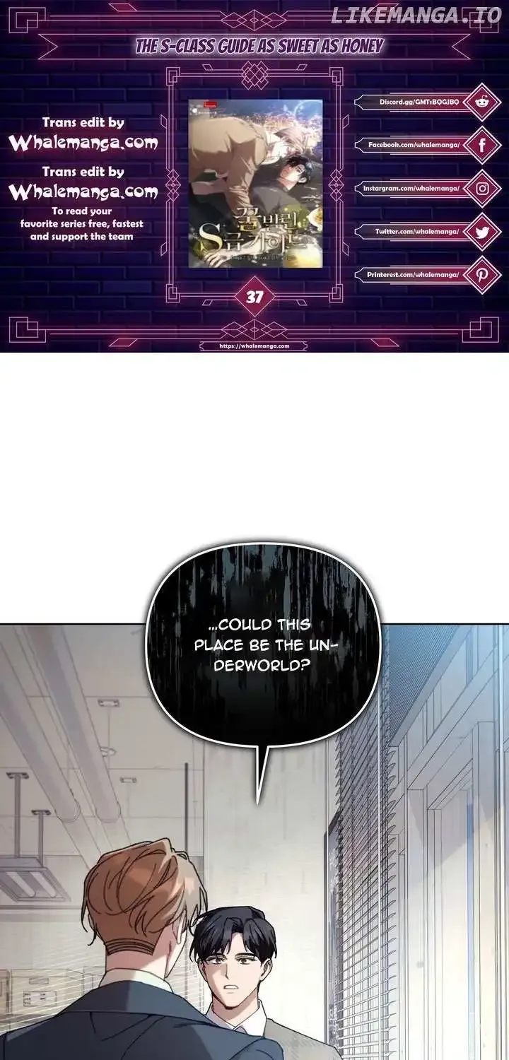 Honey Coated S Class Guide Kainu Manga Chapter 37 Page 1