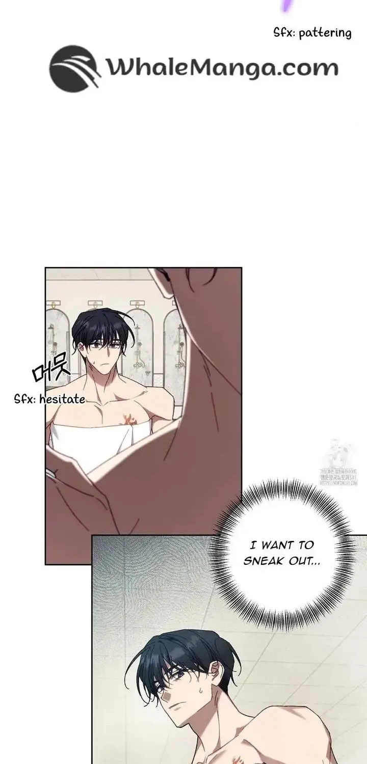 Honey Coated S Class Guide Kainu Manga Chapter 14 Page 10