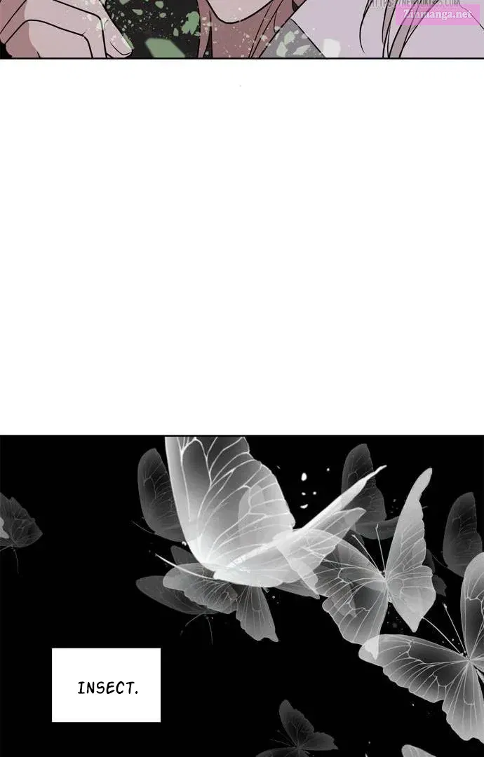When A Ghost Bird Sings Kainu Manga Chapter 3 Page 73