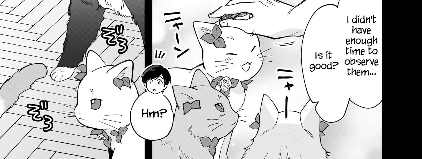 Isekai Mofumofu Cafe Kainu Manga Chapter 25 Page 11