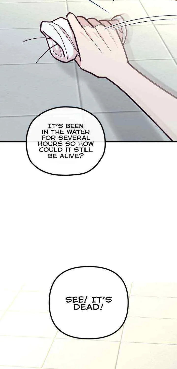 Meet in The Middle Kainu Manga Chapter 48 Page 21
