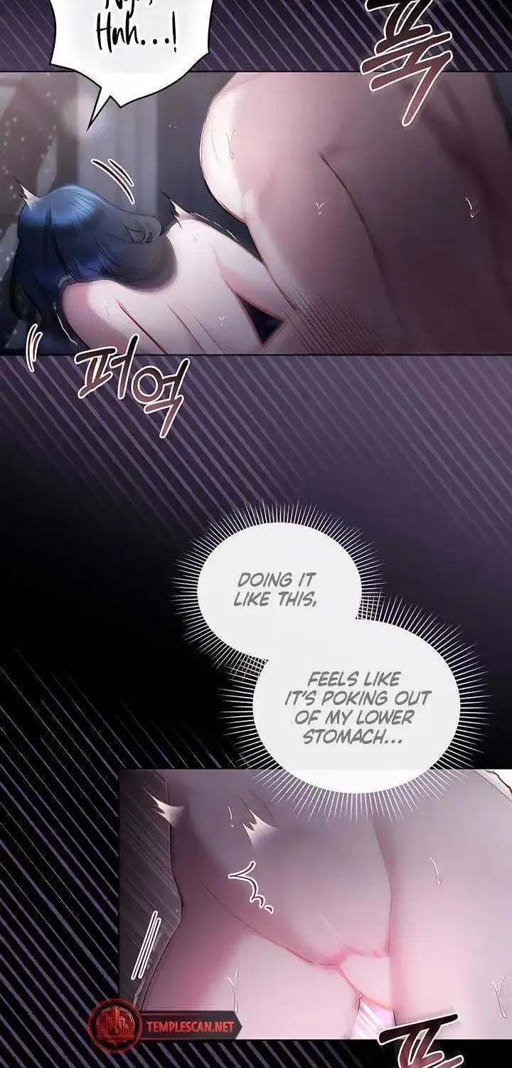 The Princess’s Bedchamber Toy Kainu Manga Chapter 18 Page 28