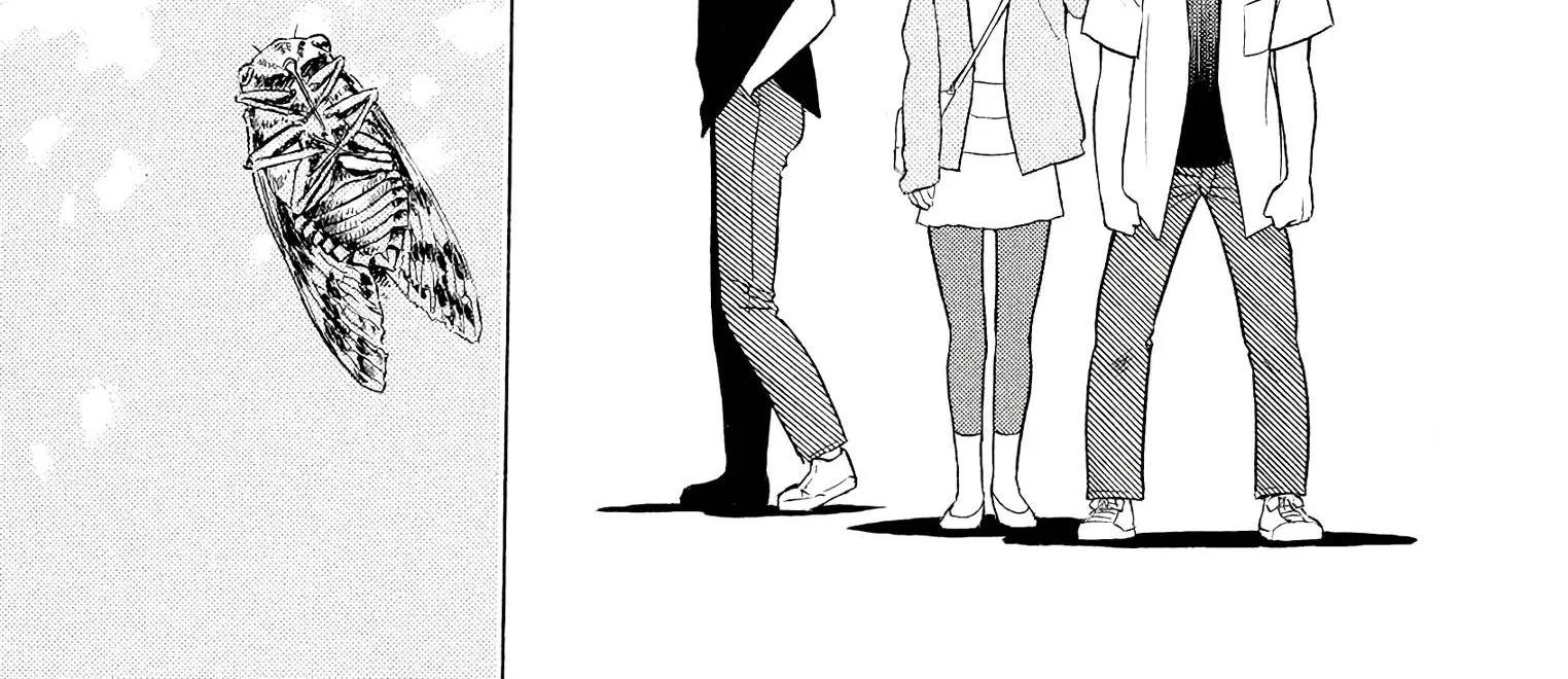 Birdy The Mighty Evolution Kainu Manga Chapter 59 Page 36