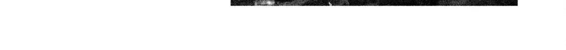 Battle Studies Kainu Manga Chapter 133.5 Page 4
