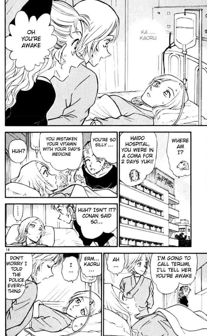 Detective Conan Kainu Manga Chapter 324 Page 14