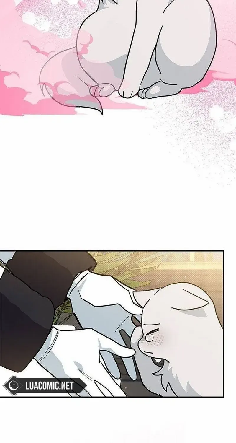 You’re A Cat, But You’ve Been Adopted By A Wolf Family? Kainu Manga Chapter 42 Page 21