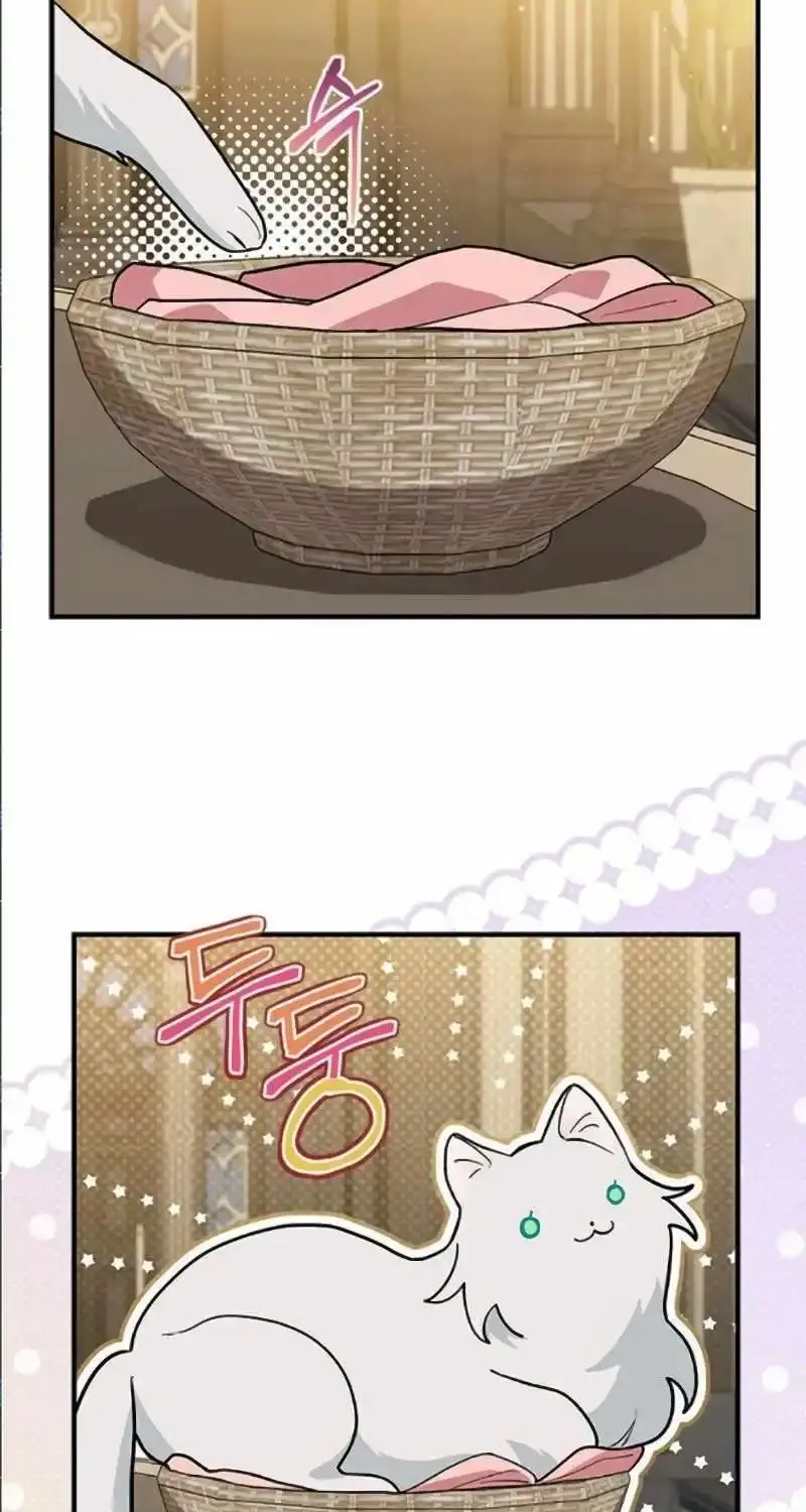 You’re A Cat, But You’ve Been Adopted By A Wolf Family? Kainu Manga Chapter 41 Page 9