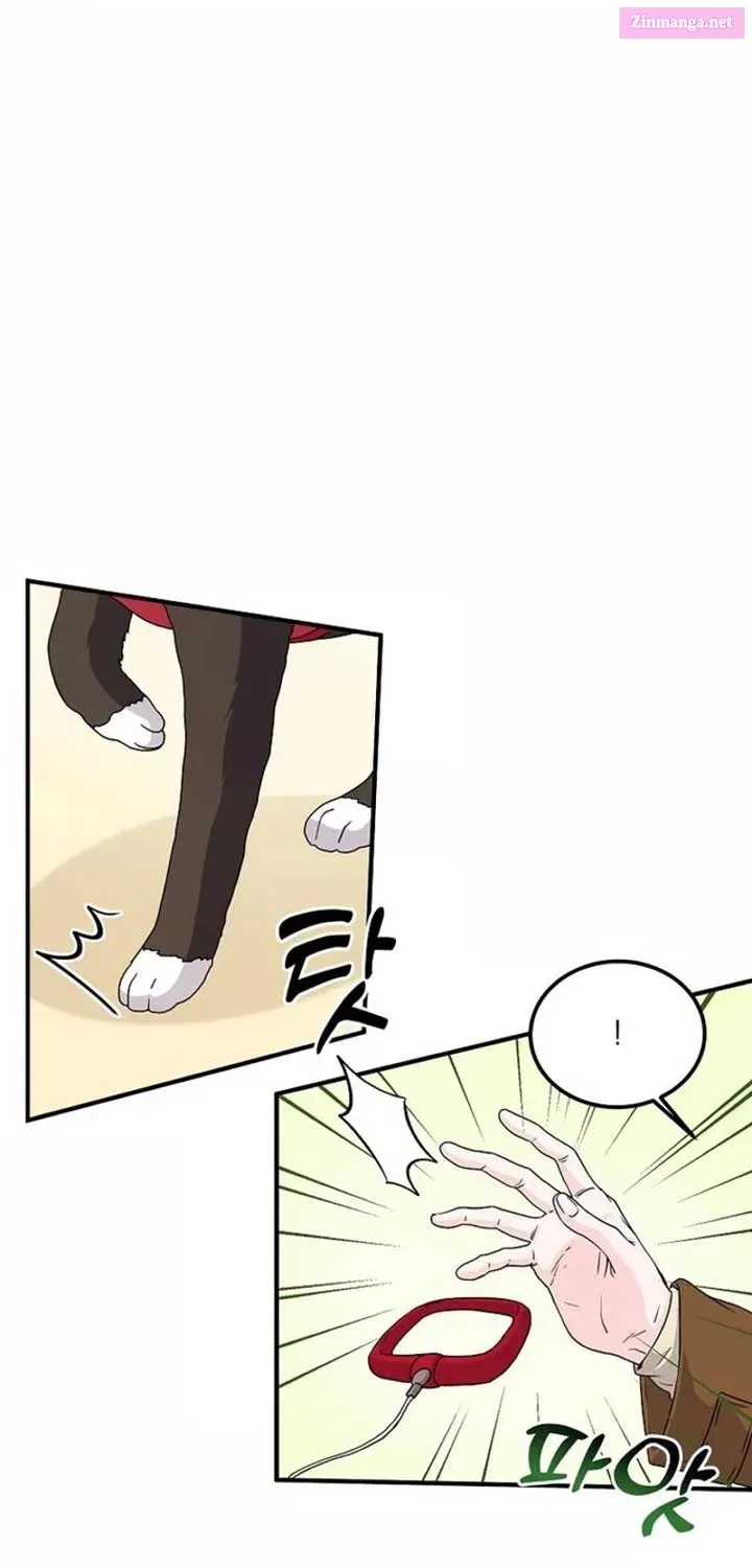 Home, Bitter Home, Motel California Kainu Manga Chapter 12 Page 9