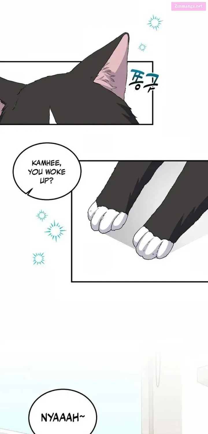 Home, Bitter Home, Motel California Kainu Manga Chapter 4 Page 3