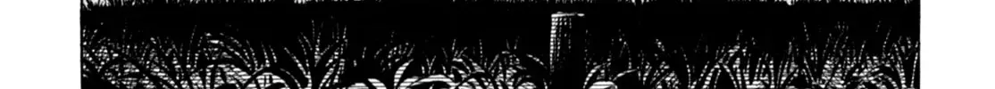 Gabai Kainu Manga Chapter 58 Page 38