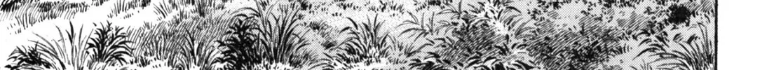 Gabai Kainu Manga Chapter 15 Page 14