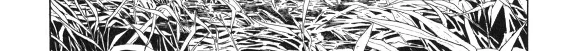 Gabai Kainu Manga Chapter 9 Page 34