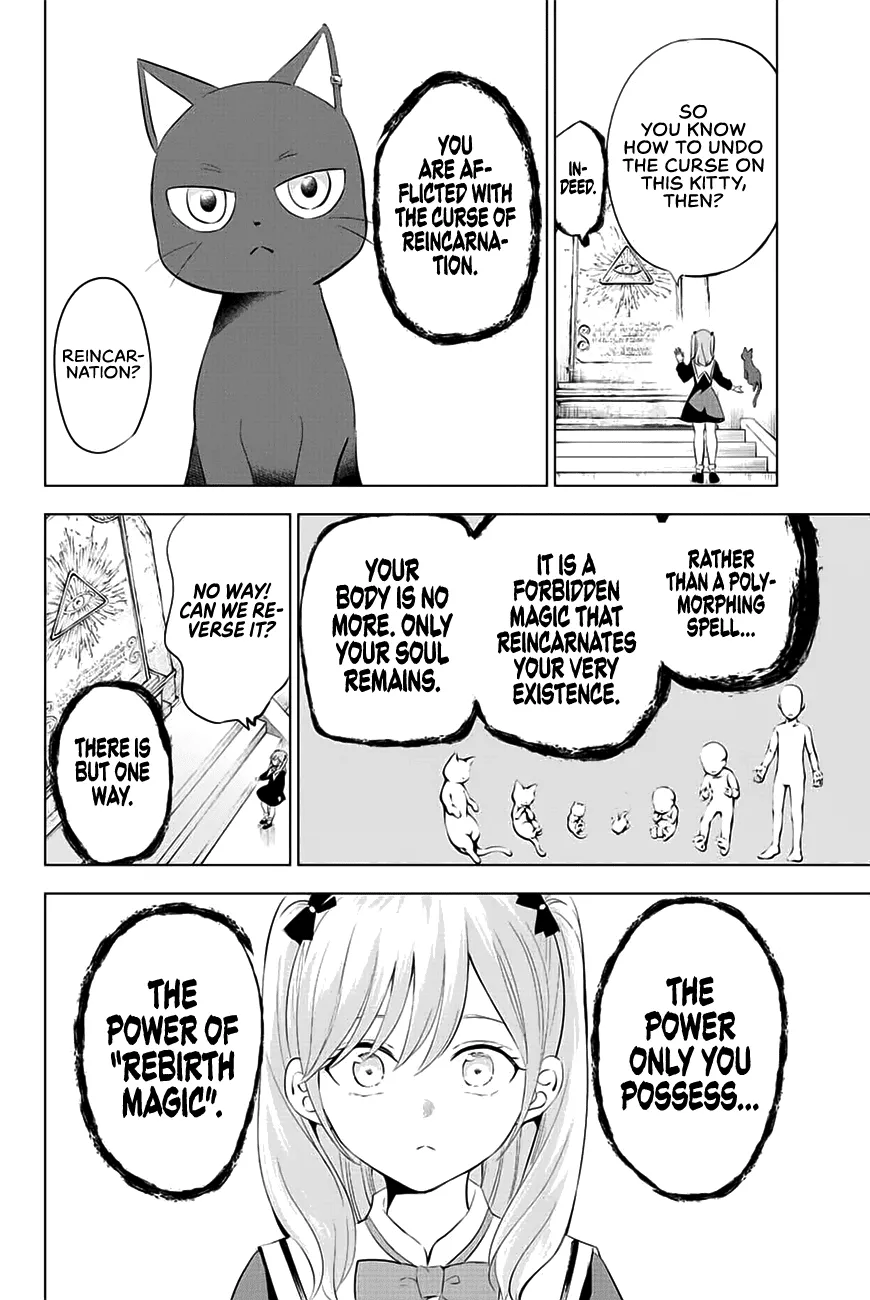 Kuroneko To Majo No Kyoushitsu Kainu Manga Chapter 1 Page 43