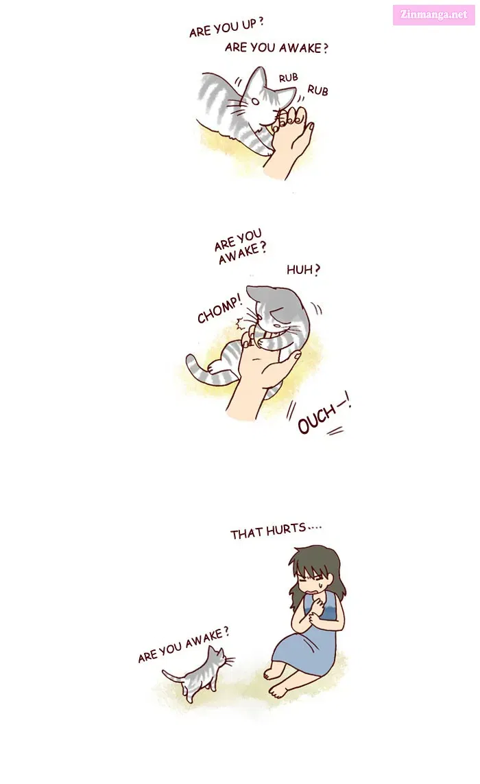 My Kitty and Old Dog Kainu Manga Chapter 169 Page 2