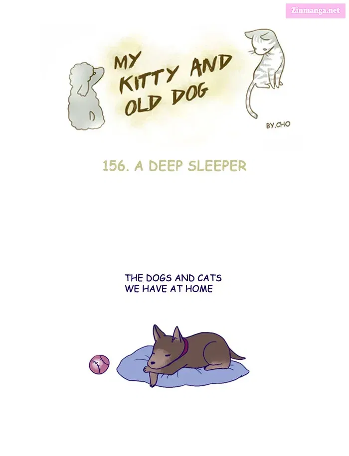 My Kitty and Old Dog Kainu Manga Chapter 156 Page 1