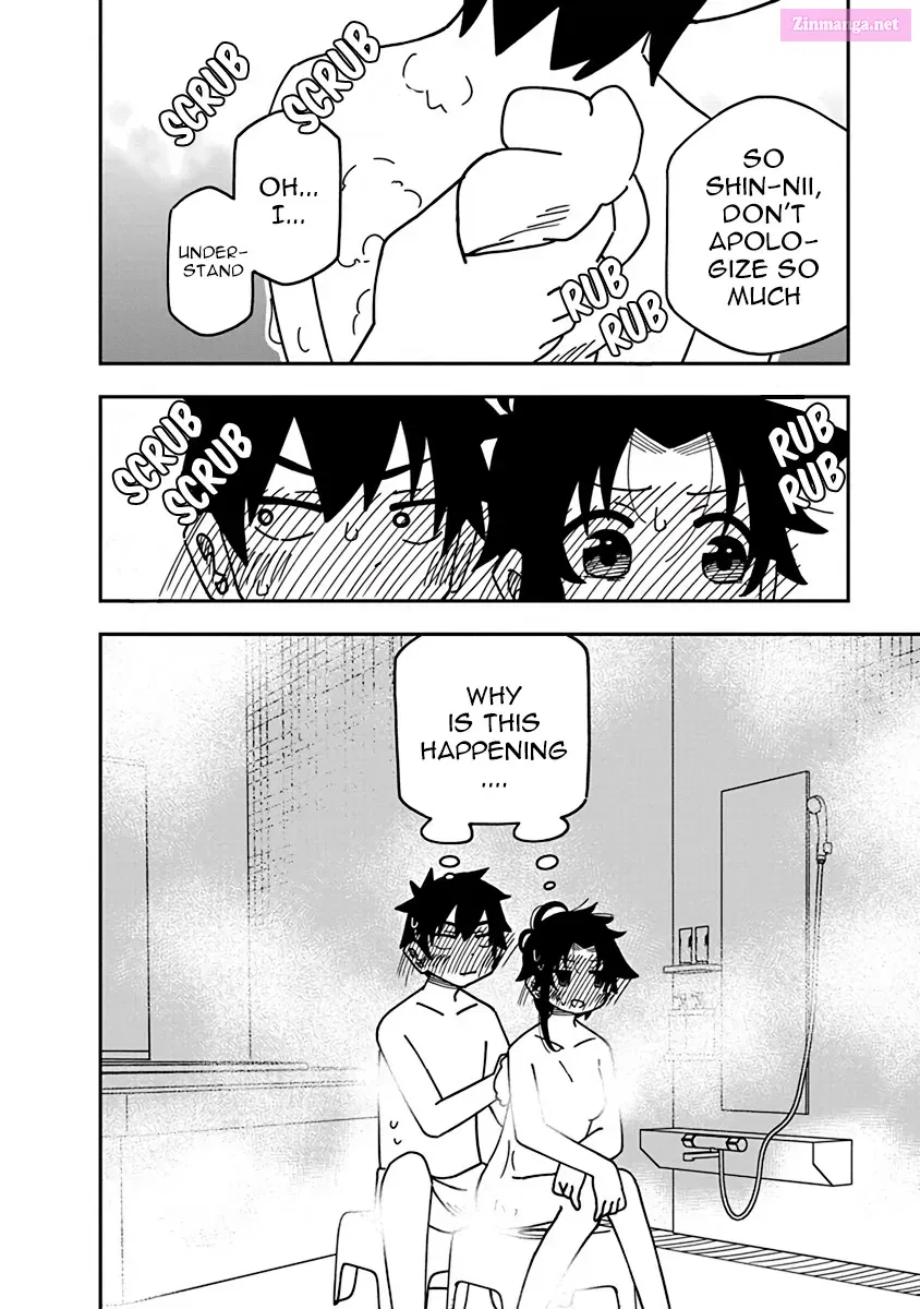 The Shiunji Family Children Kainu Manga Chapter 13.5 Page 26