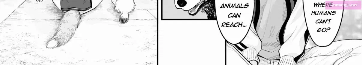 Omae, Tanuki Ni Naranee Ka? Kainu Manga Chapter 22 Page 20