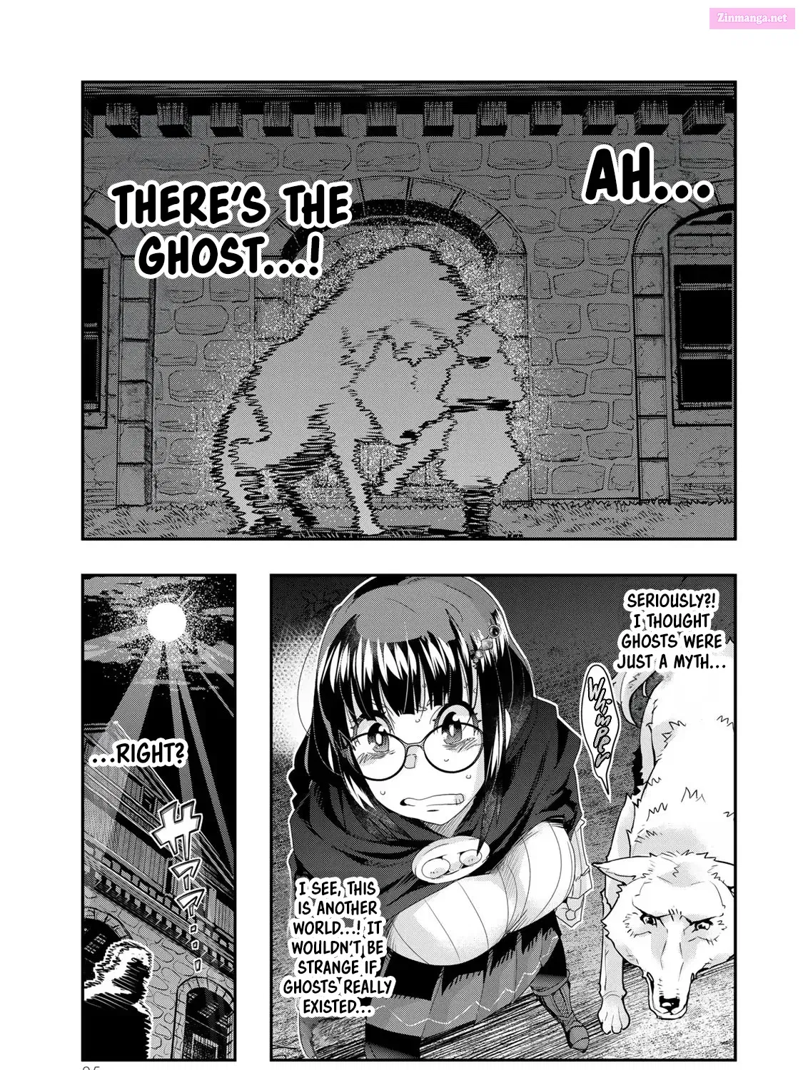 Yoku Wakaranai keredo Isekai ni Tensei Shiteita You Desu Kainu Manga Chapter 95 Page 37