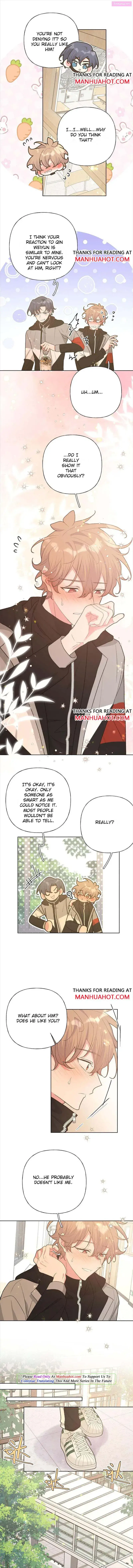 Don't Say You Love Me Kainu Manga Chapter 84 Page 5