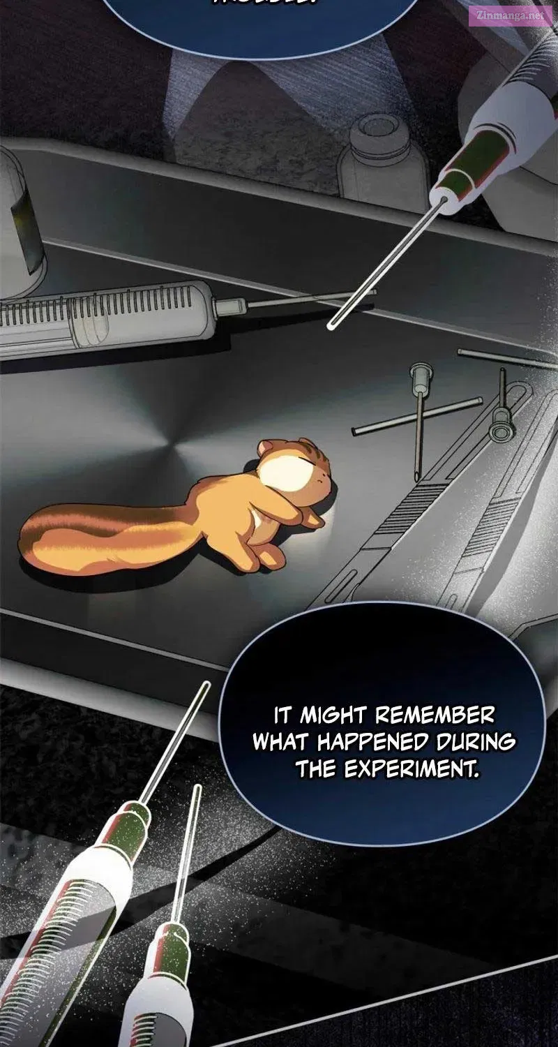 I Became A Squirrel Saving The Villain Kainu Manga Chapter 8 Page 8