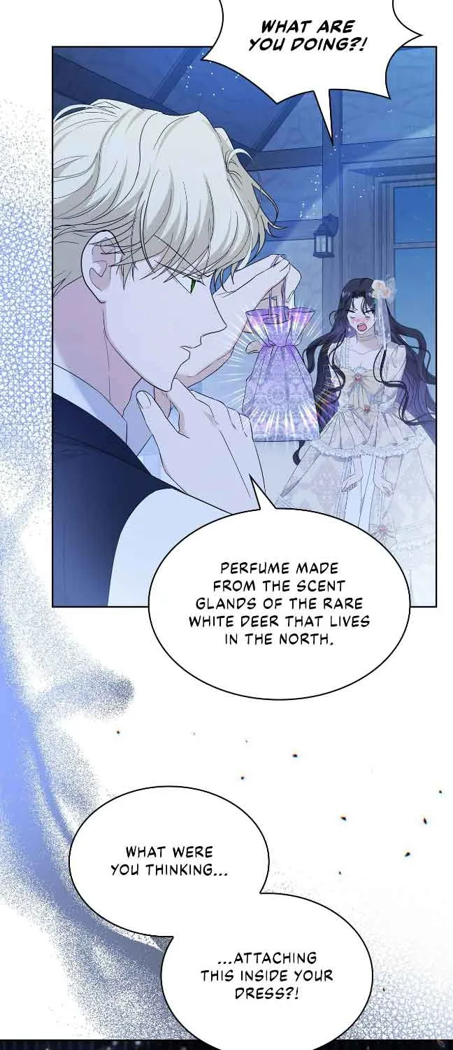 Becoming the Obsessive Male Lead’s Ex-Wife Kainu Manga Chapter 17 Page 9