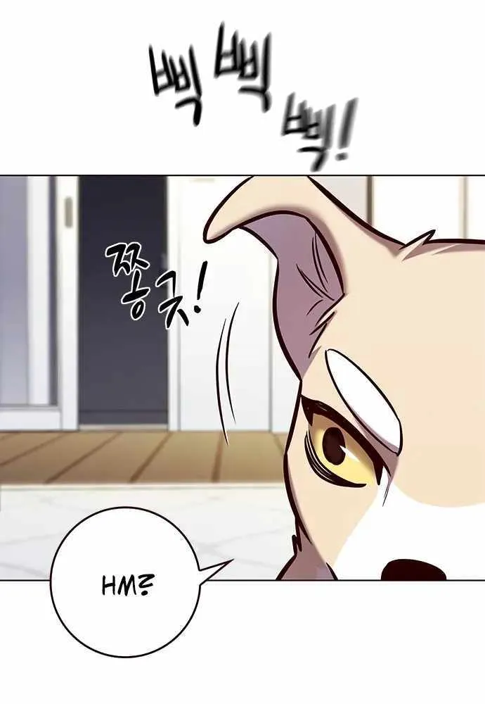 Eleceed Kainu Manga Chapter 280 Page 16