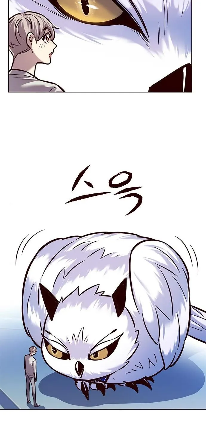 Eleceed Kainu Manga Chapter 222 Page 50
