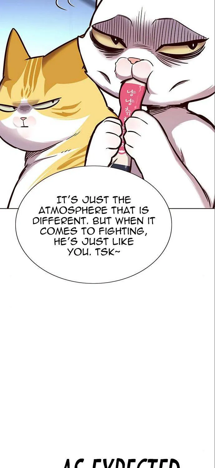 Eleceed Kainu Manga Chapter 159 Page 34