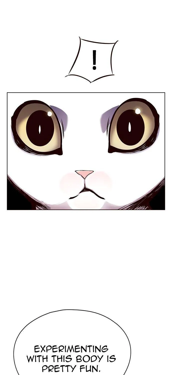 Eleceed Kainu Manga Chapter 144 Page 20
