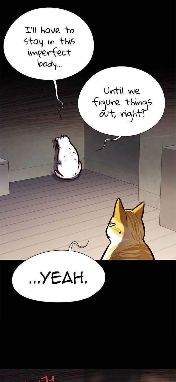 Eleceed Kainu Manga Chapter 142 Page 12