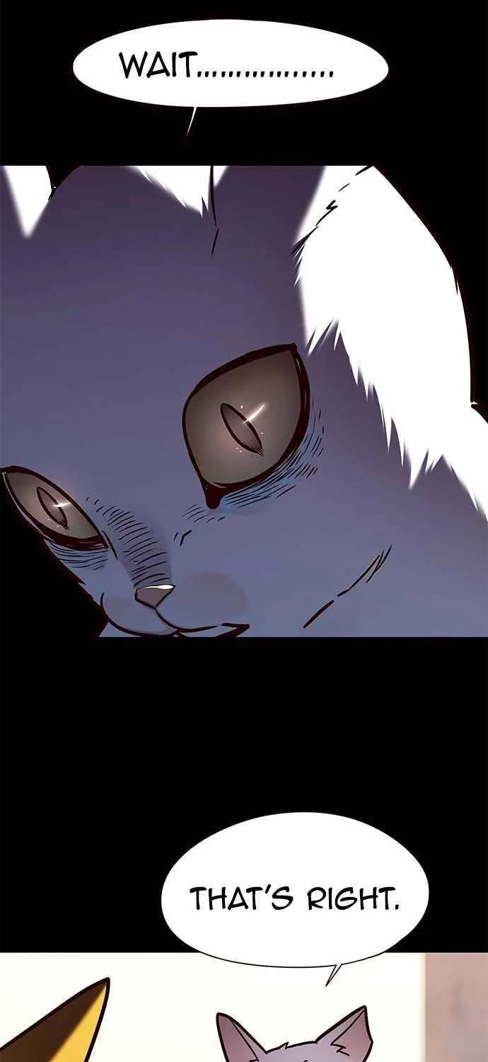 Eleceed Kainu Manga Chapter 142 Page 14