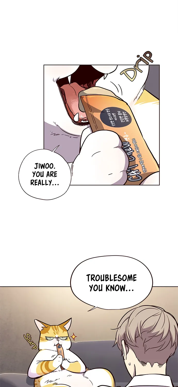 Eleceed Kainu Manga Chapter 19 Page 13