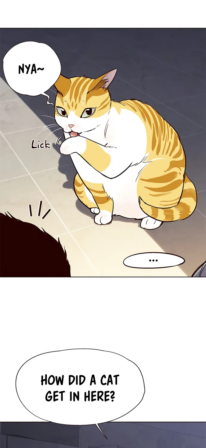 Eleceed Kainu Manga Chapter 19 Page 61