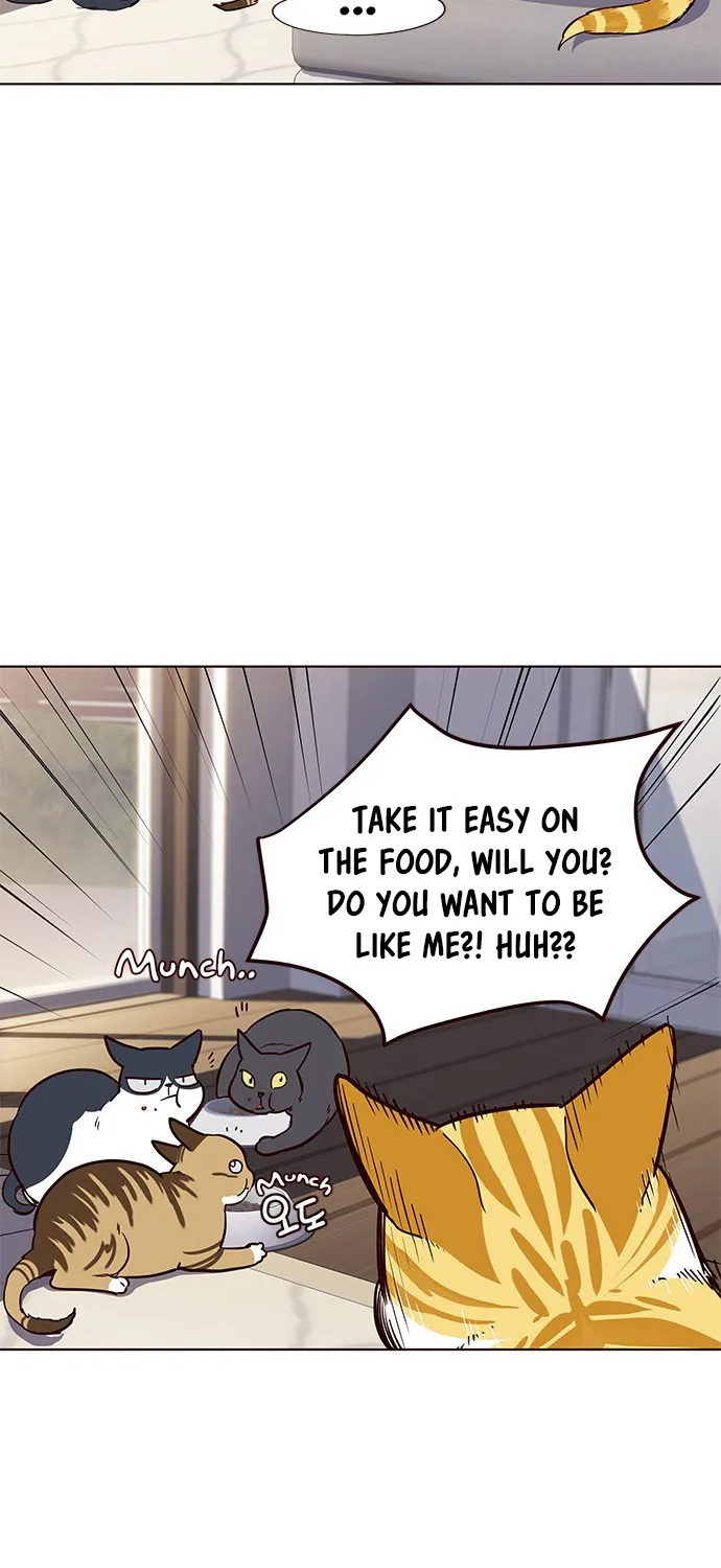 Eleceed Kainu Manga Chapter 17 Page 38