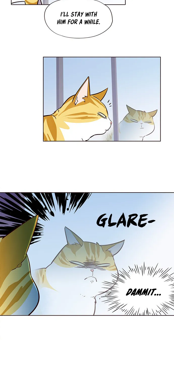 Eleceed Kainu Manga Chapter 6 Page 15