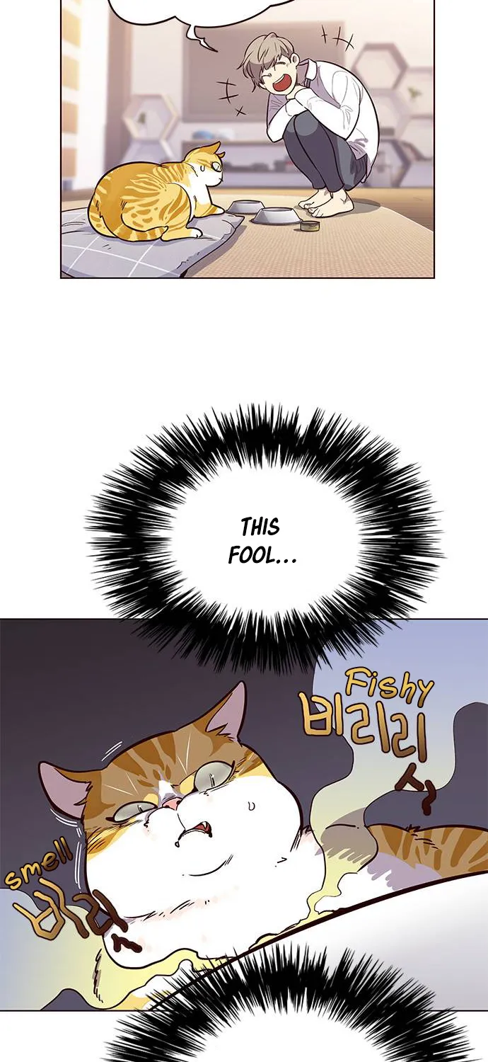 Eleceed Kainu Manga Chapter 1 Page 47