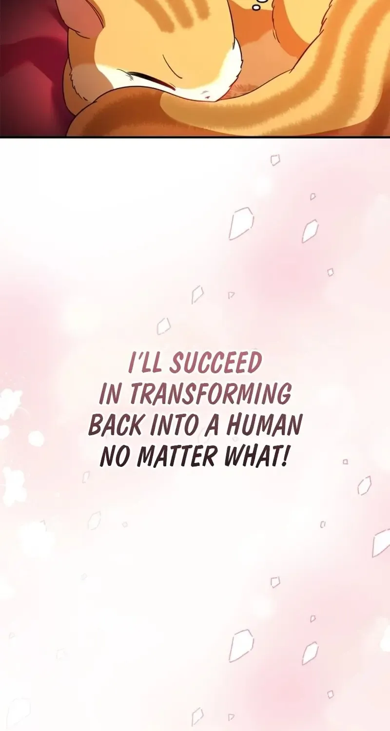 I Became A Squirrel Seeking For The Villain Kainu Manga Chapter 1 Page 73