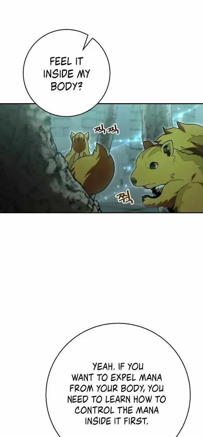 Reincarnated as a Genius Prodigy of a Prestigious Family Kainu Manga Chapter 10 Page 32
