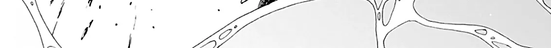 Taiyou to Tsuki no Hagane Kainu Manga Chapter 1 Page 61