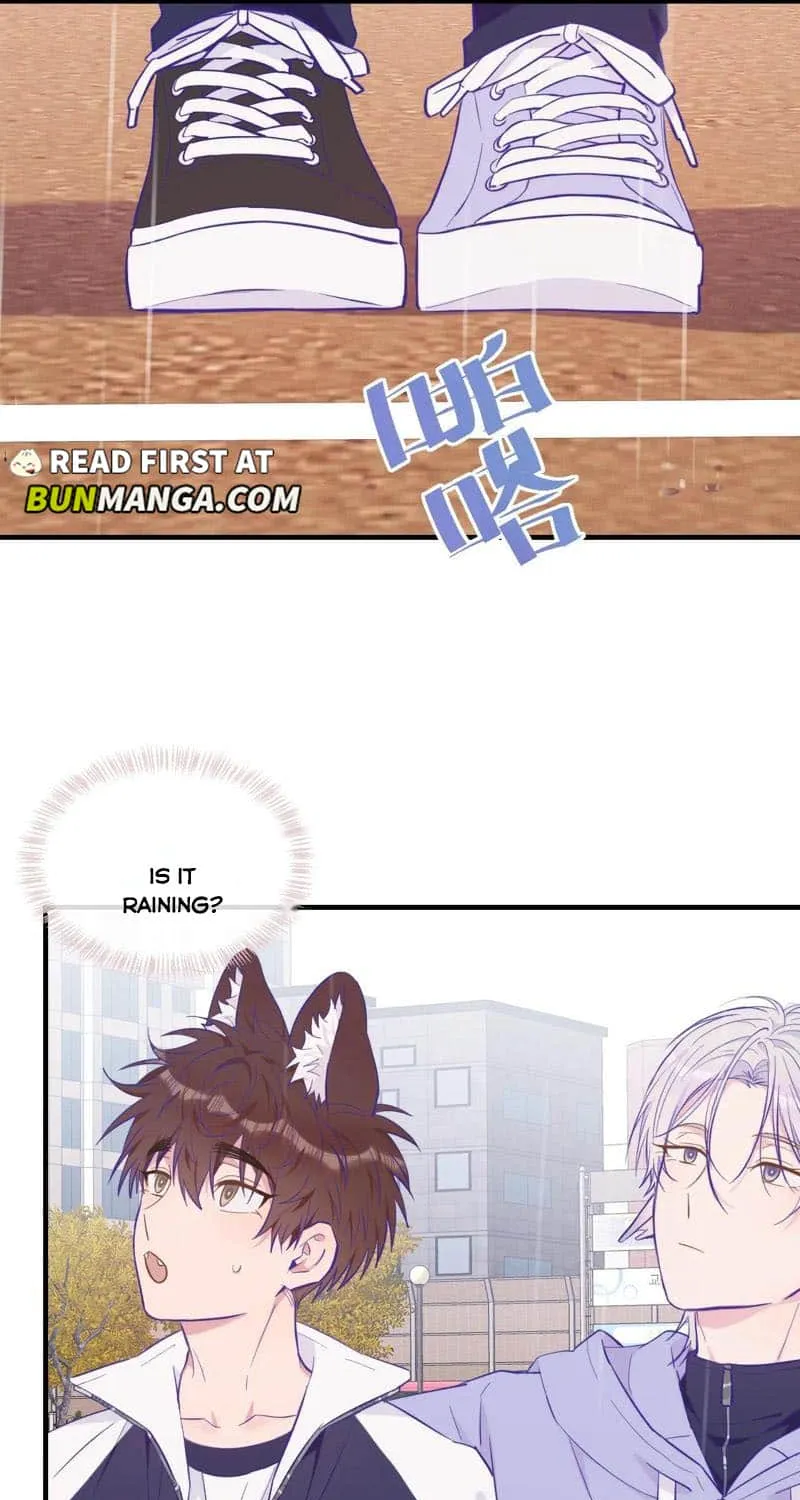Lying Puppies Get Eaten Kainu Manga Chapter 28 Page 19