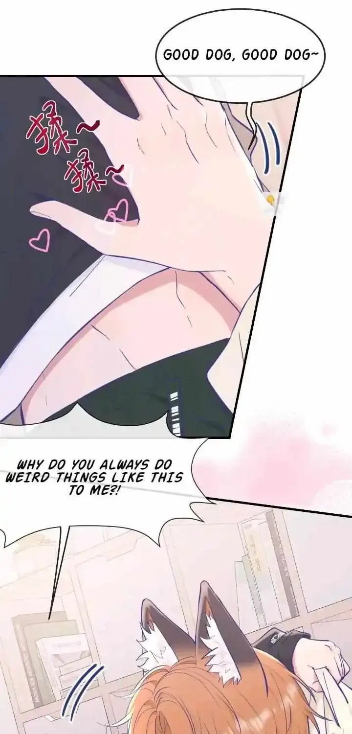 Lying Puppies Get Eaten Kainu Manga Chapter 9 Page 11