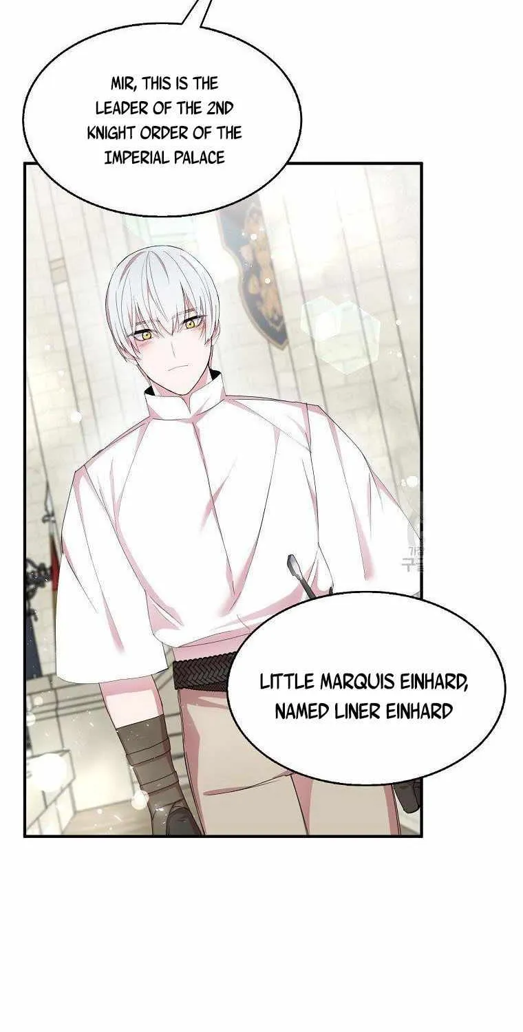 I Was Planning To Become A Loyal Sword Kainu Manga Chapter 40 Page 32